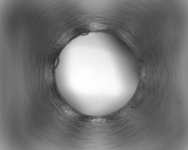 X0000056020426200509092144