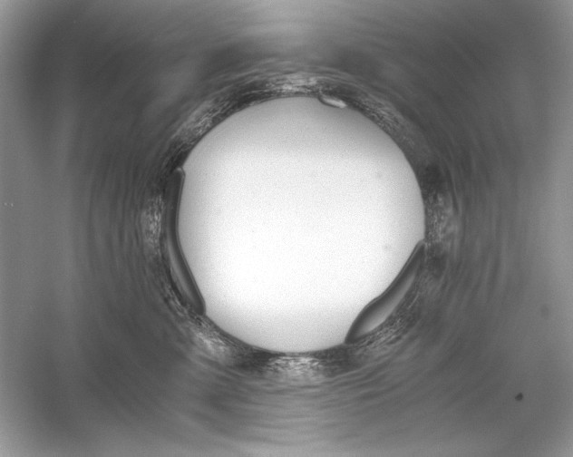 X0000056020427200509092144