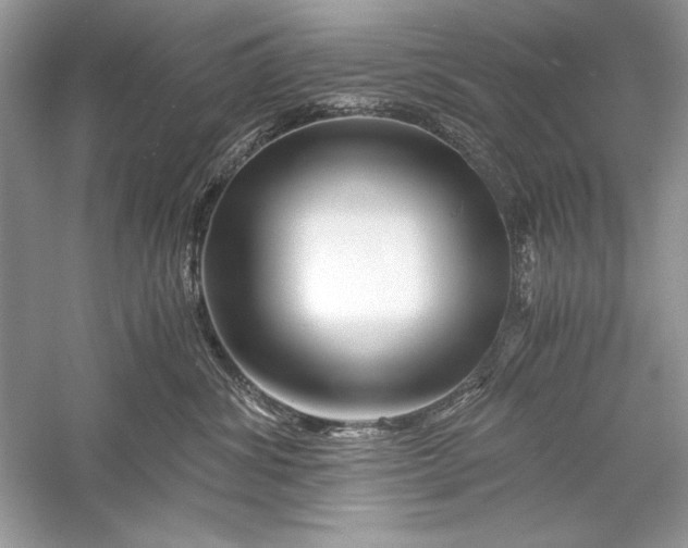 X0000056020428200509092144