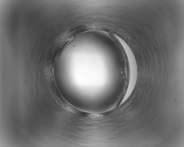 X0000056020429200509092144