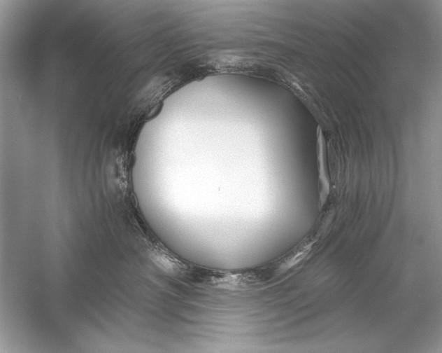 X0000056020430200509092144