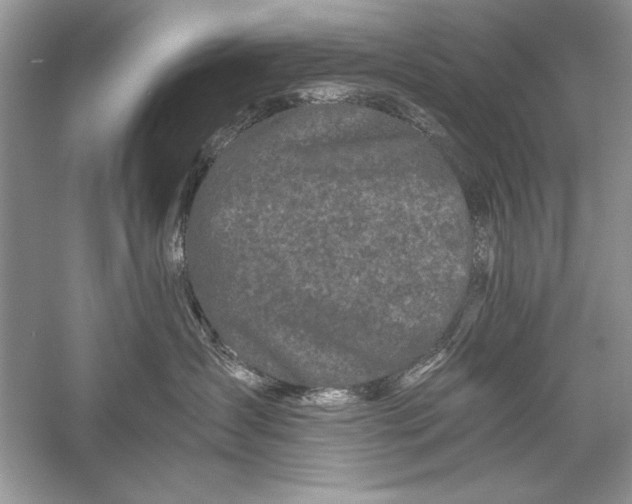 X0000056020431200509092144