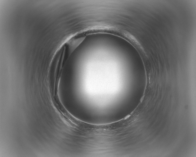 X0000056020436200509092143