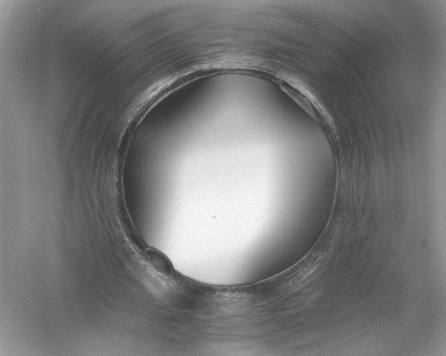 X0000056020437200509092143