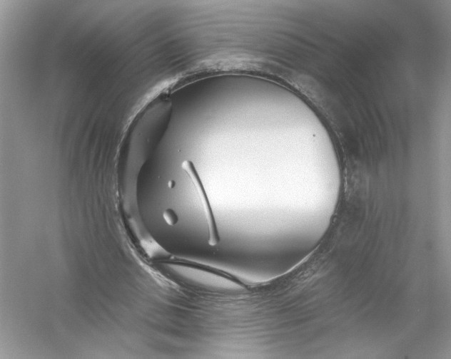X0000056020438200509092143
