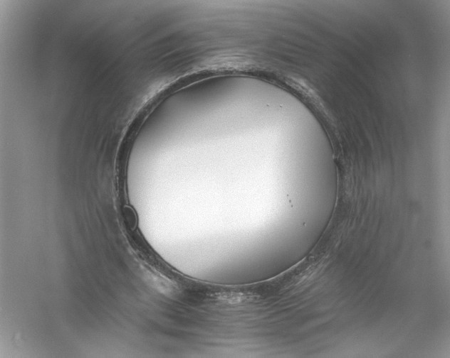 X0000056020439200509092143