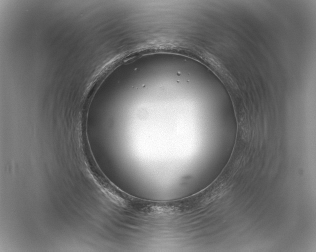 X0000056020442200509092143