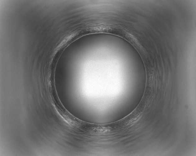 X0000056020443200509092143