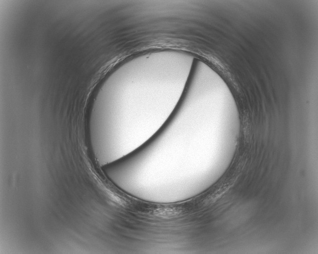 X0000056020445200509092143