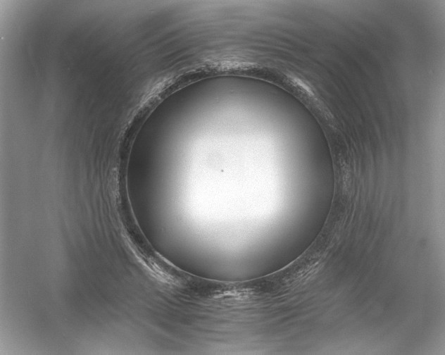 X0000056020447200509092143