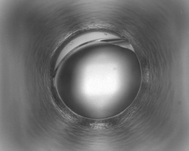 X0000056020448200509092143