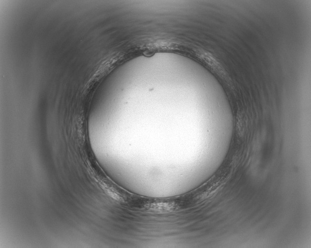 X0000056020449200509092143