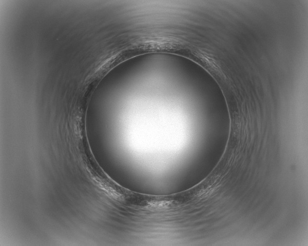 X0000056020450200509092143