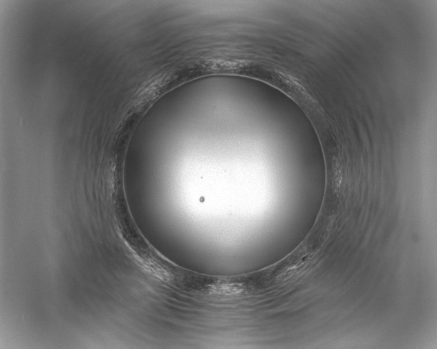 X0000056020451200509092143