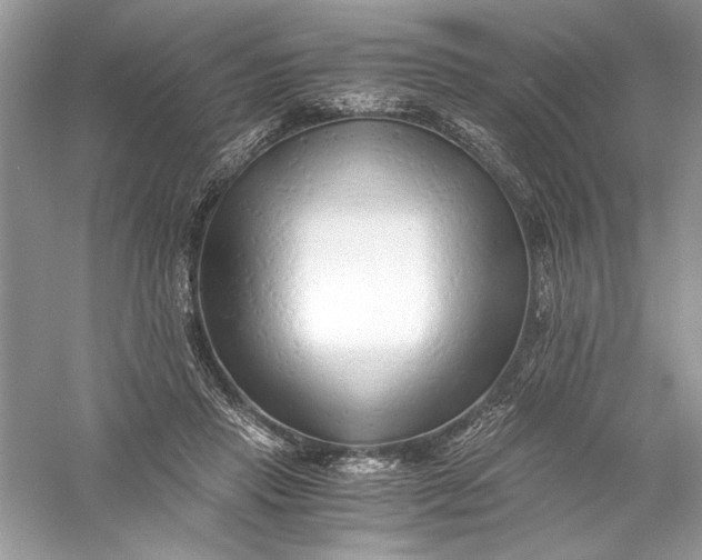 X0000056020453200509092143