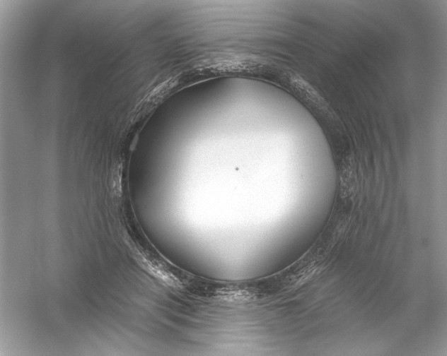 X0000056020454200509092143