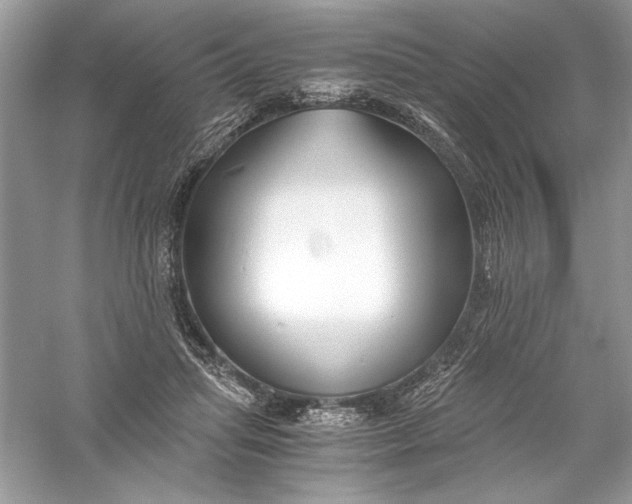 X0000056020455200509092143