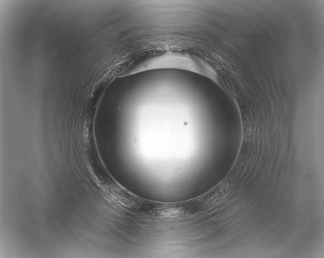 X0000056020456200509092143