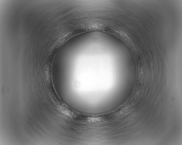 X0000056020457200509092143