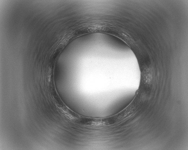 X0000056020458200509092143