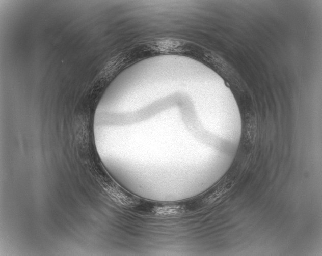 X0000056020461200509092143