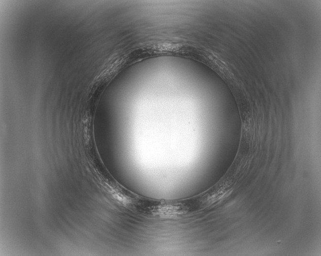 X0000056020462200509092143