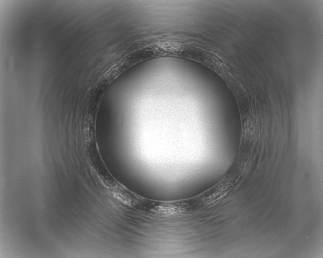 X0000056020464200509092143