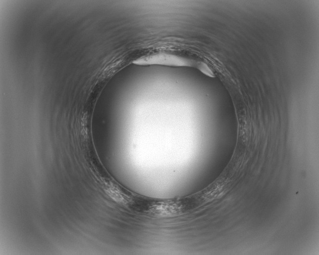 X0000056020466200509092143