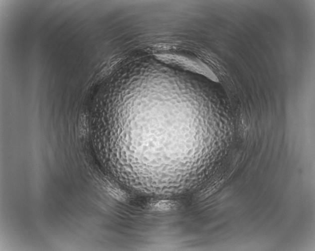 X0000056020467200509092143
