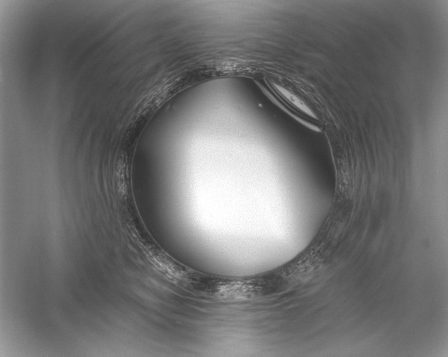 X0000056020470200509092143