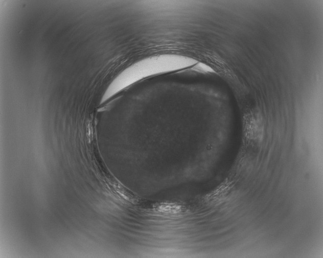 X0000056020471200509092143