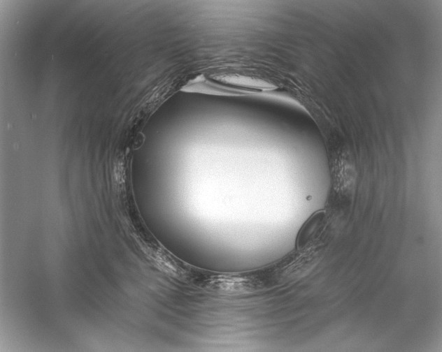 X0000056020472200509092144