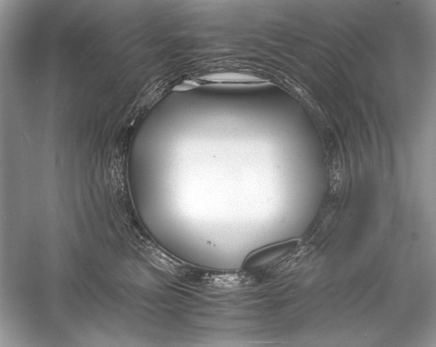 X0000056020473200509092144