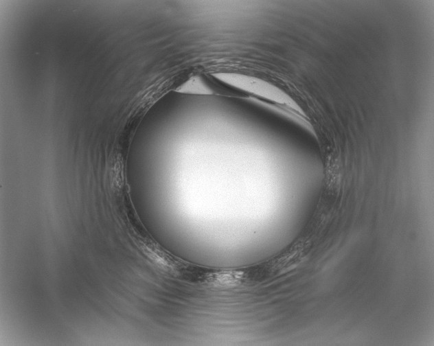 X0000056020474200509092144