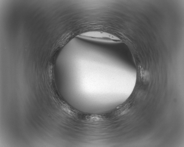 X0000056020475200509092144