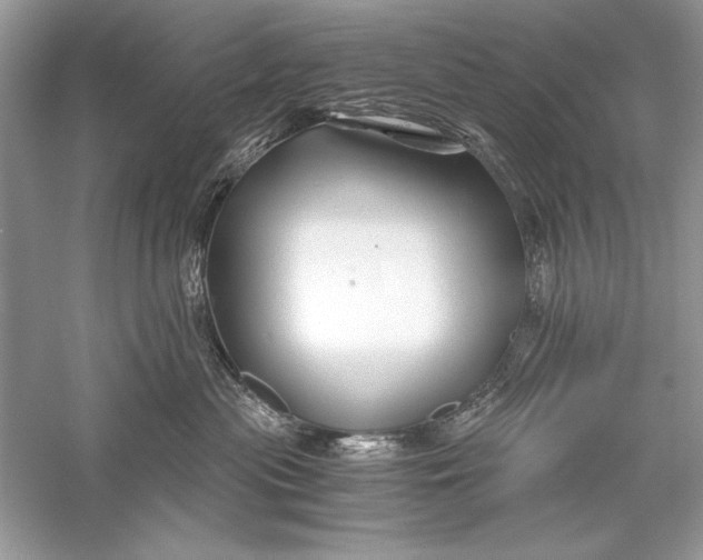 X0000056020477200509092144