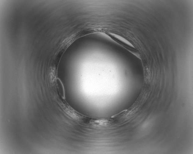 X0000056020478200509092144