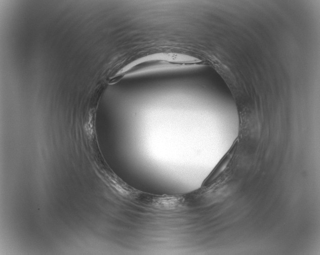 X0000056020479200509092144