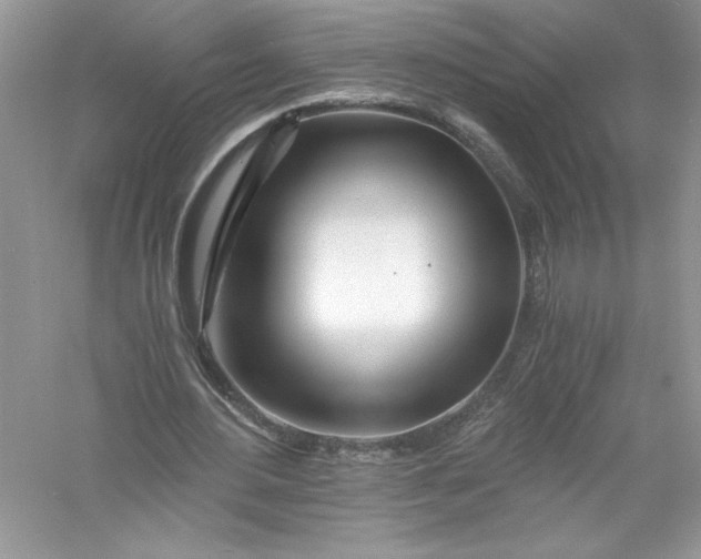 X0000056020484200509092143