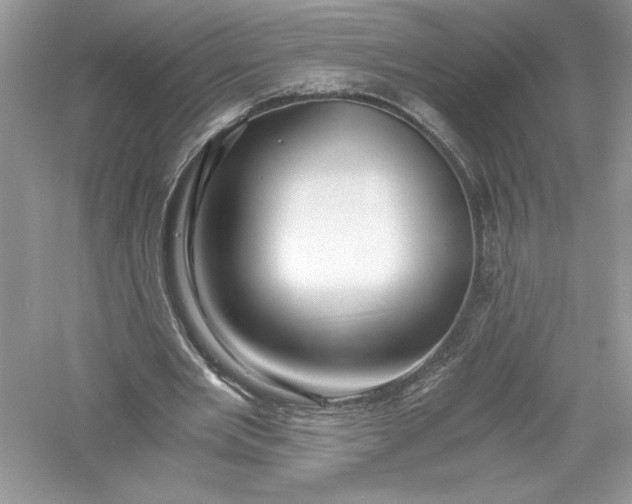X0000056020485200509092143