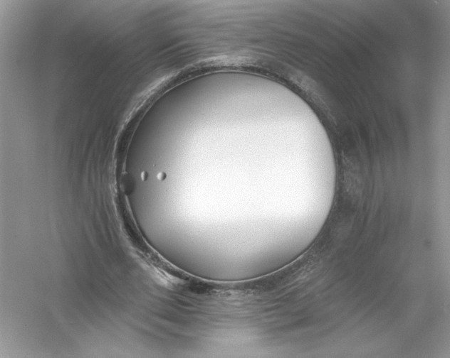 X0000056020486200509092143