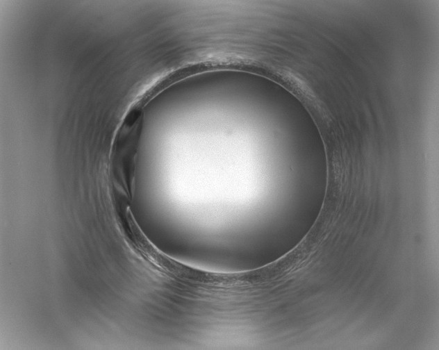 X0000056020488200509092143