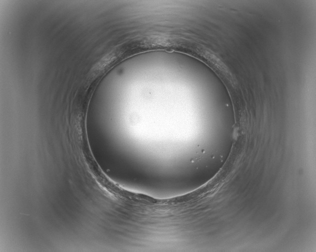 X0000056020489200509092143