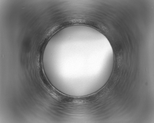 X0000056020490200509092143
