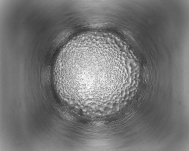 X0000056020495200509092143