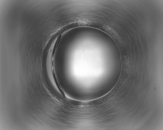 X0000056020496200509092143