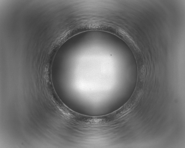X0000056020497200509092143