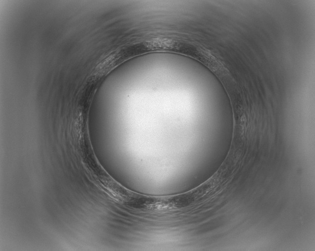 X0000056020498200509092143