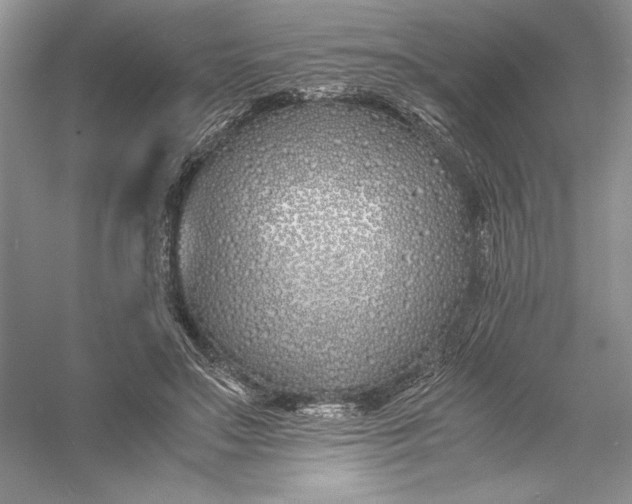 X0000056020499200509092143