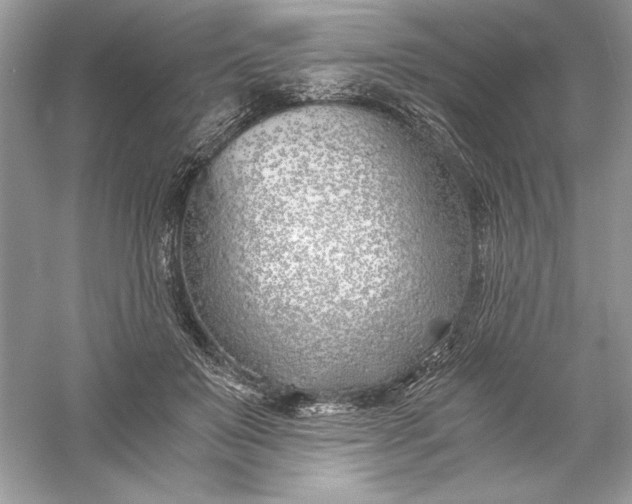X0000056020503200509092142